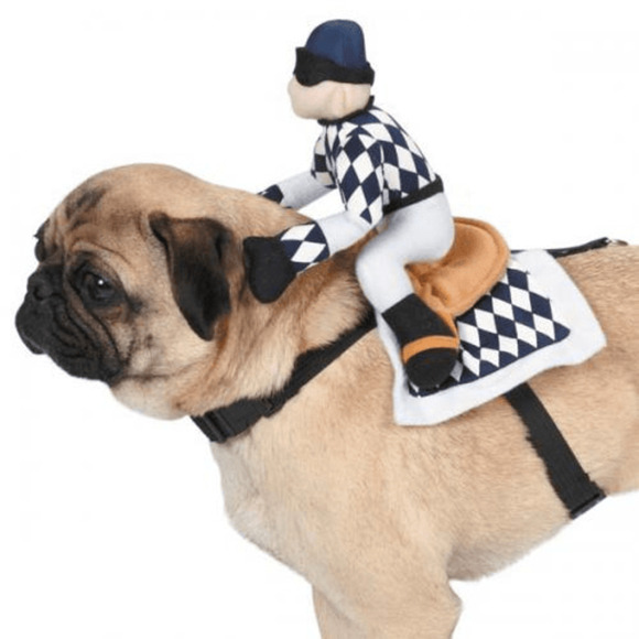 πΆ Pawful Champion Jockey Saddle Dog Costume π - Picture 1 of 2